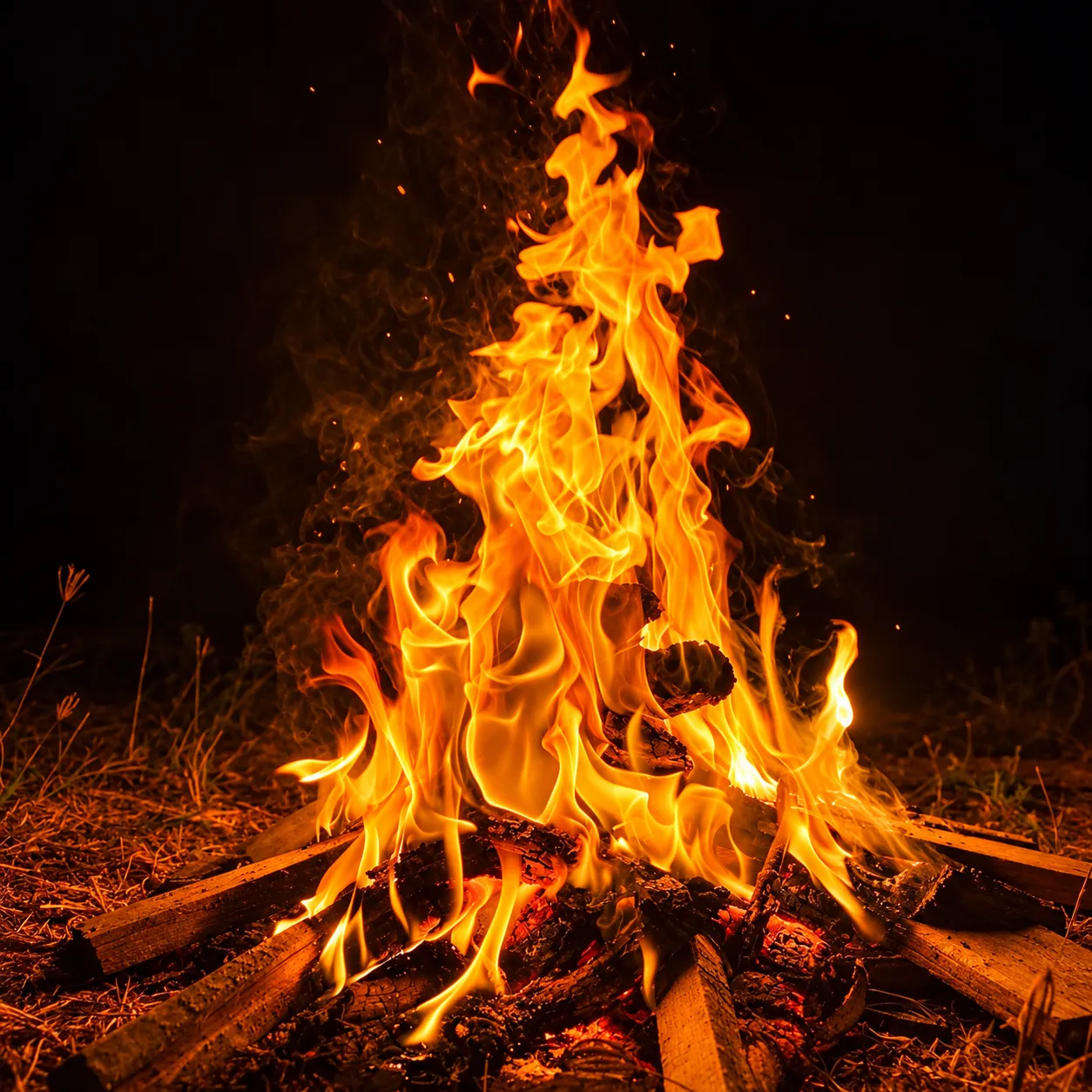 Campfire